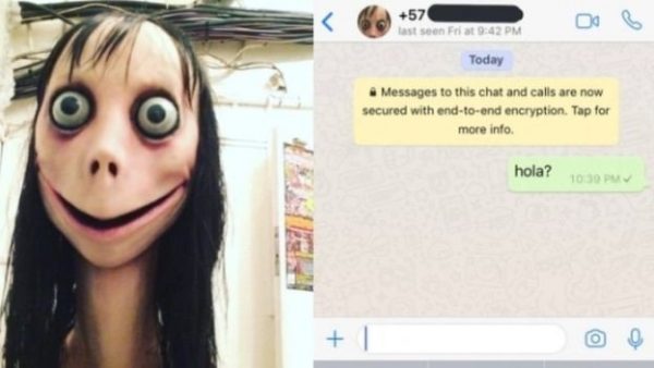 Whatsapp Momo Nedir?