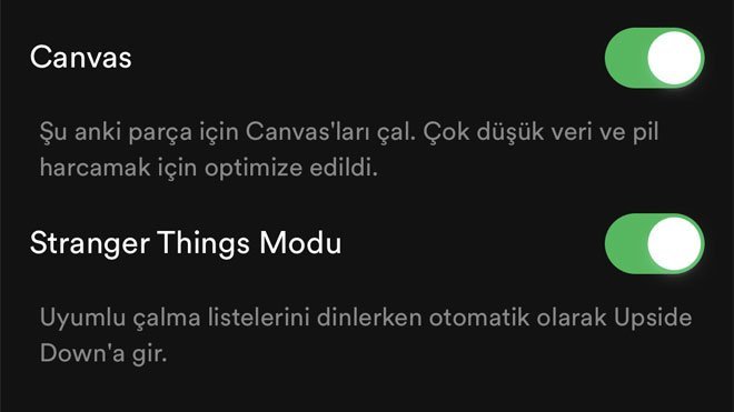 Spotify Otomatik Video Oynatma Nasıl Kapatılır?