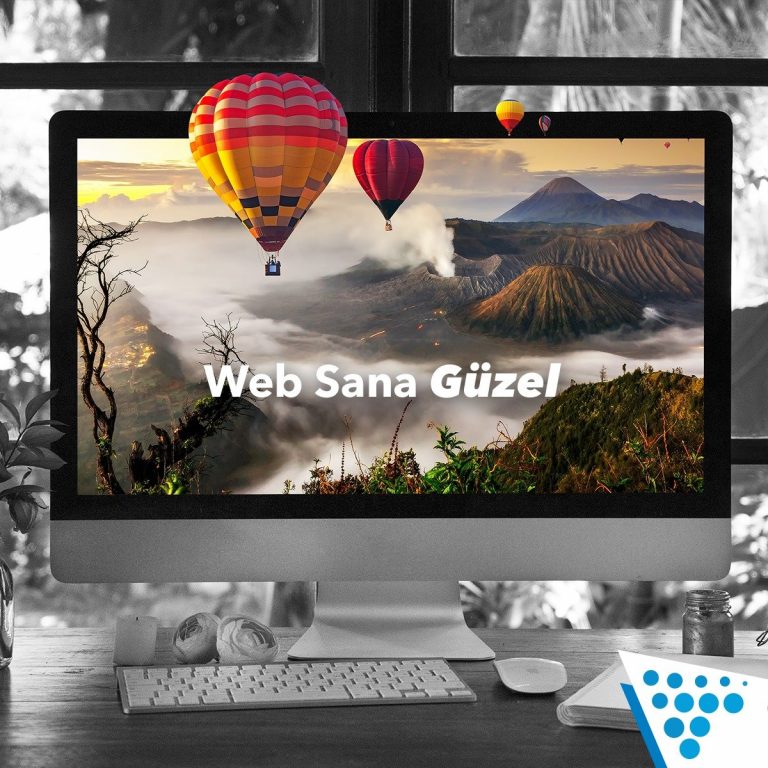 Domain Sorgulama Güzel Hosting İle Çok Kolay