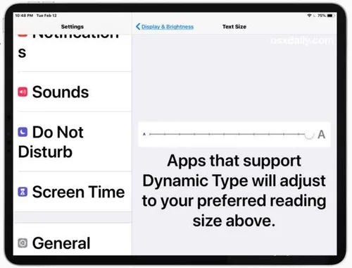 iPad'de Yazıları Büyütmek