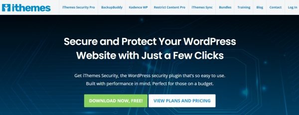 WordPress güvenlik