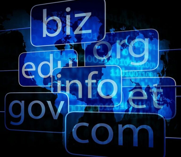 Web Varlığınızı Güçlendirin: İdeal Domain Seçim Rehberi