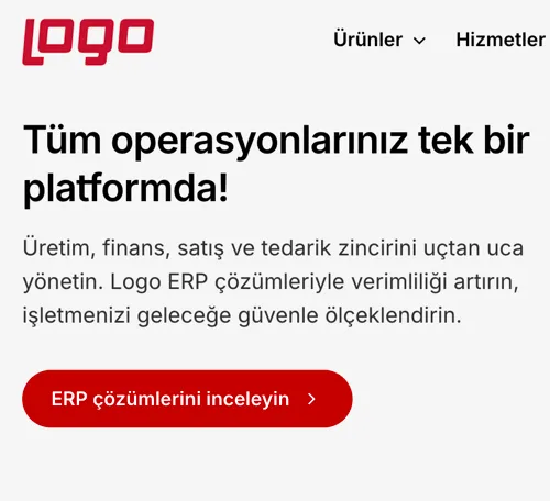 e-Fatura Nedir?