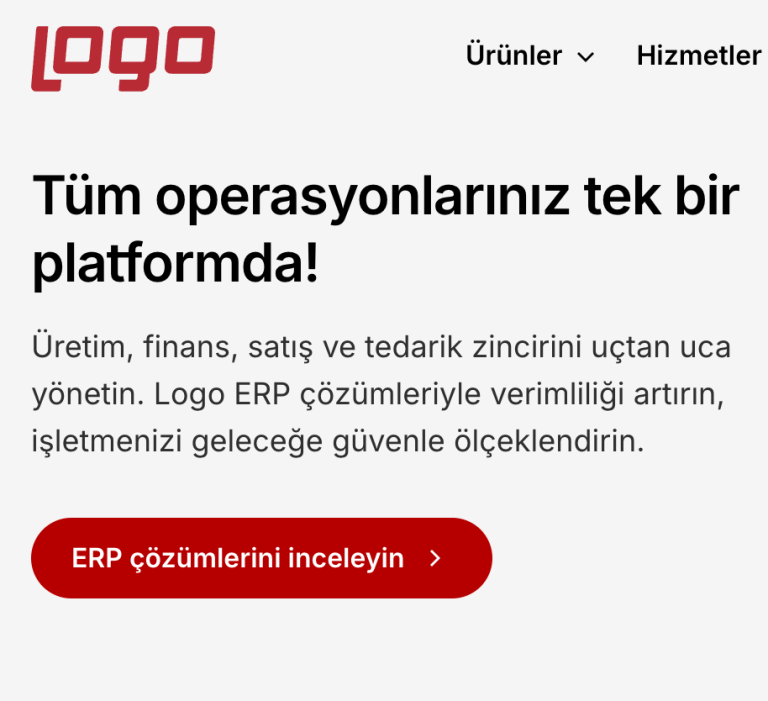 e-Fatura Nedir?